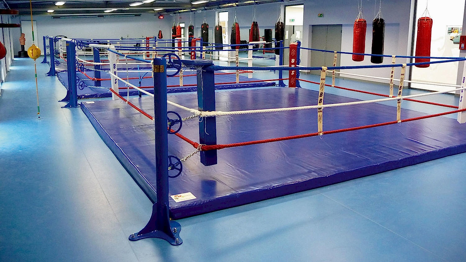 Omnisports Training (5.0 mm)