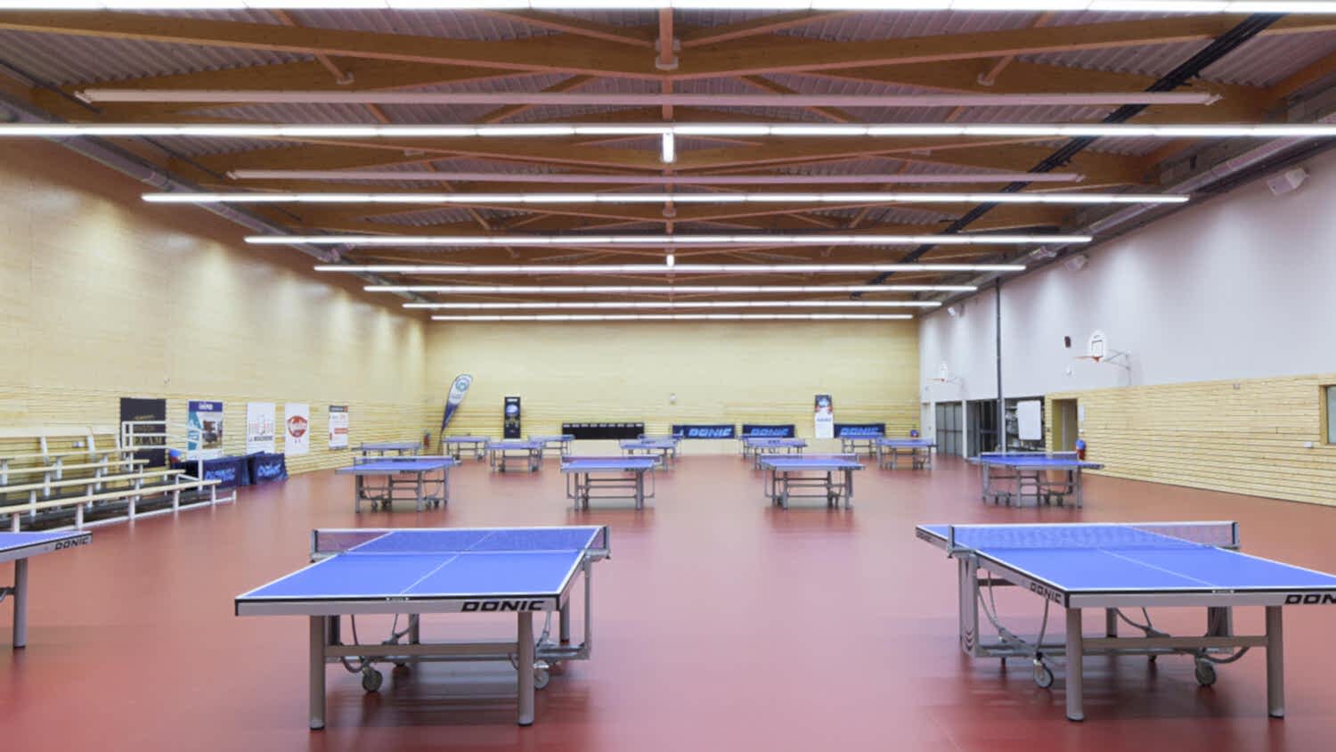 Table Tennis - Uni TONIC RED