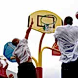 Basket Potası 44