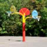 Basket Potası 46