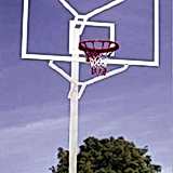Basket Potası 11