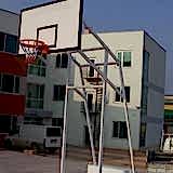 Basket Potası 13