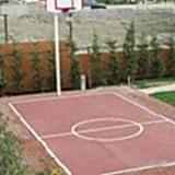 Basket Potası 19