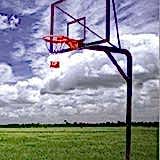 Basket Potası 8