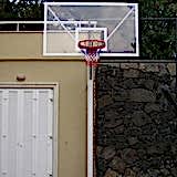 Basket Potası 9